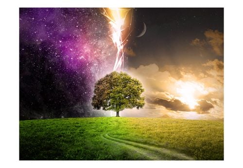 Fototapeta - Magic tree 200x154 na Arena.pl