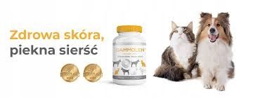 Gammolen dla psów i kotów OMEGA 3 i 6 sierść 150ka na Arena.pl