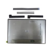 HP RAW Panel 14WUXGA AGUWVA 250