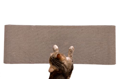 drapak dla kota  tekturowy duży legowisko do drapania leżak kartonowy na Arena.pl