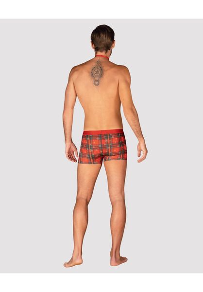 Mr Merrilo Bokserki I Mucha   S/M zdjęcie 4