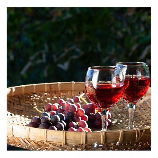 ŚWIEŻE DROŻDŻE PIEKARSKIE 2,5 KG IDEALNE DO PIECZENIA CHLEBA PIZZY zdjęcie 3