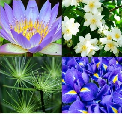 Tesori D'oriente Zestaw Włoskich Kosmetyków Z Linii Aegyptus na Arena.pl