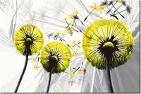 120CM 80CM OBRAZ ŚCIENNY DMUCHAWCE ŻÓŁCI