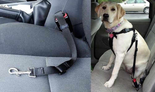 Smycz samochodowa dla psa na Arena.pl