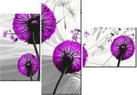 product-compare-58709484