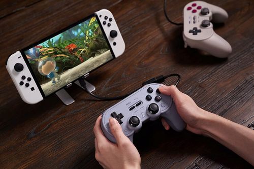 Kontroler 8BITDO Pro 2 Wired Gamepad Szary na Arena.pl