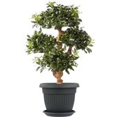 Donica okrągła 25 cm + podstawka Antracyt