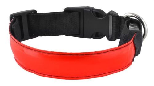 Obroża LED czerwona - M na Arena.pl