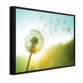 Obraz W Ramie Na Płótnie Do Sypialni Salonu Dmuchawce 60x40