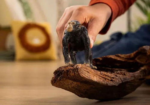 SCHLEICH WILD LIFE Szympans 14883 na Arena.pl