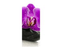 product-compare-58644800