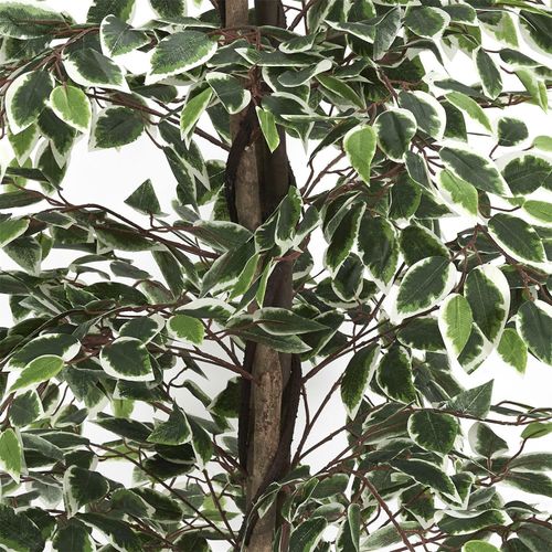 Sztuczna roślina Benjamin 170 cm na Arena.pl