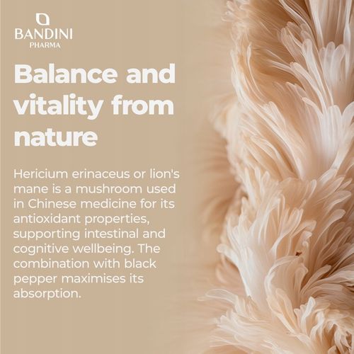 Bandini Lions Mane Mushroom 2000mg - 365 tabletek na Arena.pl