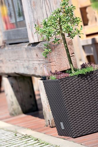 Donica Rato Low 400mm antracyt Prosperplast na Arena.pl