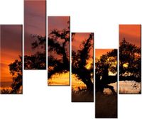 80CM 160CM OBRAZ 5 ELEM DĄB ZACHODZĄCYM SŁOŃCU DON MCCULLOUGH DRUK ŚCIENNY