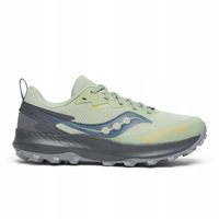 Saucony Kobieta Buty do biegania w terenie Peregrine 14 GTX Szary R44