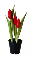 TULIPANY GUMOWE jak ŻYWE w doniczce TULIPAN CZERWONY