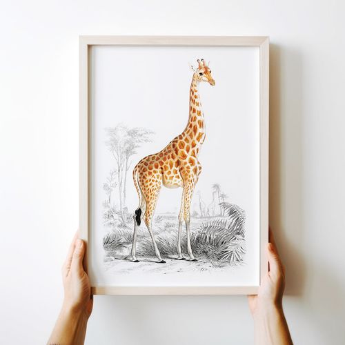 Plakat żyrafa ilustracja 21x29,7 cm A4 na Arena.pl