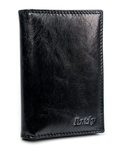 skórzane etui na karty - rovicky na Arena.pl