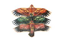 Latawiec Z9620 57994