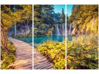 product-compare-58677595