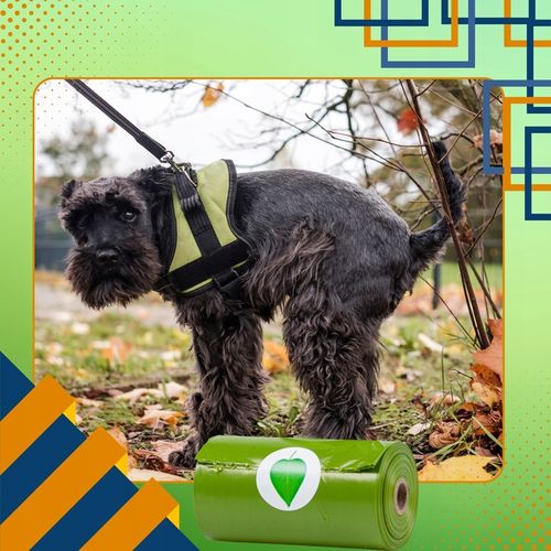 WORECZKI BIODEGRADOWALNE NA PSIE ODCHODY BIO WORKI NA KUPY PSA 360 SZT ETUI na Arena.pl