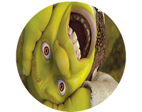 Opłatek na tort Shrek