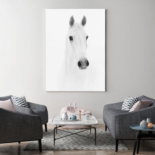 Deco Panel, Siwy koń 80x120 na Arena.pl