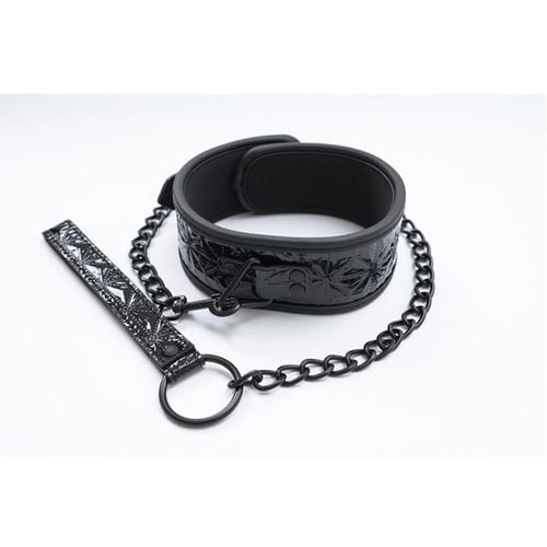 collar with detachable leash na Arena.pl