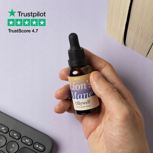 Polska Soplówka jeżowata Ollywell Lion's Mane Krople Moc Ekstrakt Adaptogen na Arena.pl