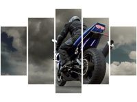 70 100CM OBRAZ 5 ELEM W STRONĘ HORYZONTU DRUK PŁÓTNO