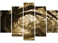 OBRAZ DROGA DRZEWAMI VINTAGE