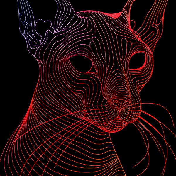 Plakat 30x30cm Cyfrowa Kocica zdjęcie 1