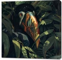 Obraz 100x100cm Skryty Tukan