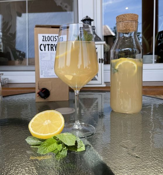 sok cytryna 100% cytrynowy 3L z cytryn tłoczony 100% bez cukru do lemoniady zdjęcie 6