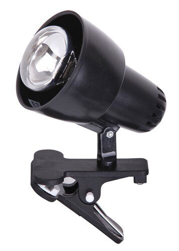 Lampa stołowa Clip na Arena.pl