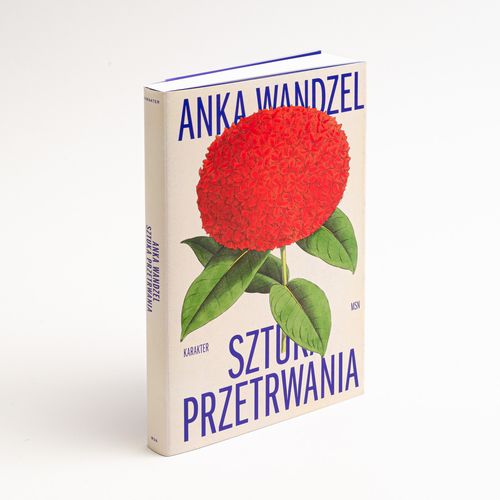 Sztuka przetrwania na Arena.pl