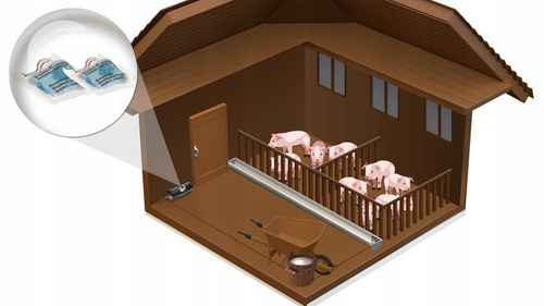 RATIMOR NA SZCZURY MYSZY GRYZONIE ULTRA MOCNA PASTA 1,5KG BRODIFAKUM na Arena.pl