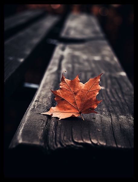 Plakat 30x40cm Pojedynczy Liść zdjęcie 2