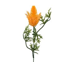 product-compare-61190597