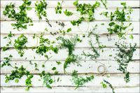 Tło fotograficzne Produktowe FLAT LAT Kulinarne