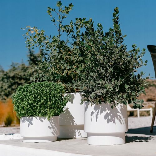 DONICZKA OSŁONKA NA KWIATY WKŁAD HEOS BIAŁA 30CM na Arena.pl