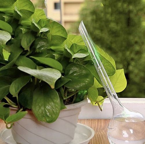 KULE NAWADNIAJĄCE DO KWIATÓW ROŚLIN DONICZEK DOZOWNIK WODY ZESTAW 8szt na Arena.pl