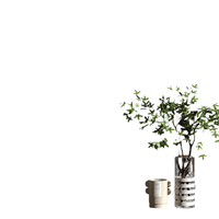 Tapeta Winylowa Samoprzylepna 44,5x300 cm Czarno Biała Gotycka do Mebli