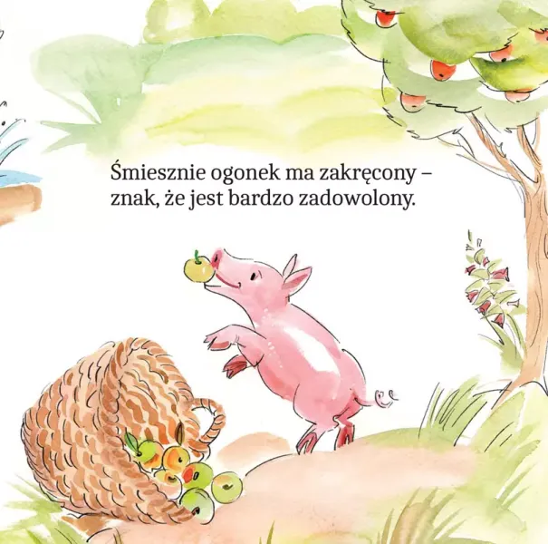 Zwierzątka Na Wsi W Wierszykach zdjęcie 5