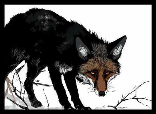 Plakat 35x25cm Nieufny Lis na Arena.pl