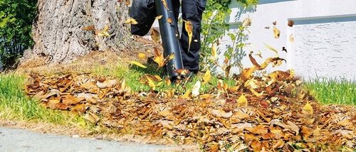 DMUCHAWA SPALINOWA OGRODOWA ODKURZACZ DO LIŚCI ŚNIEGU na Arena.pl