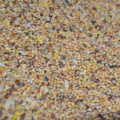 Karma dla dzikich ptaków gołębi drobne ziarno MIX ziaren 25kg na Arena.pl