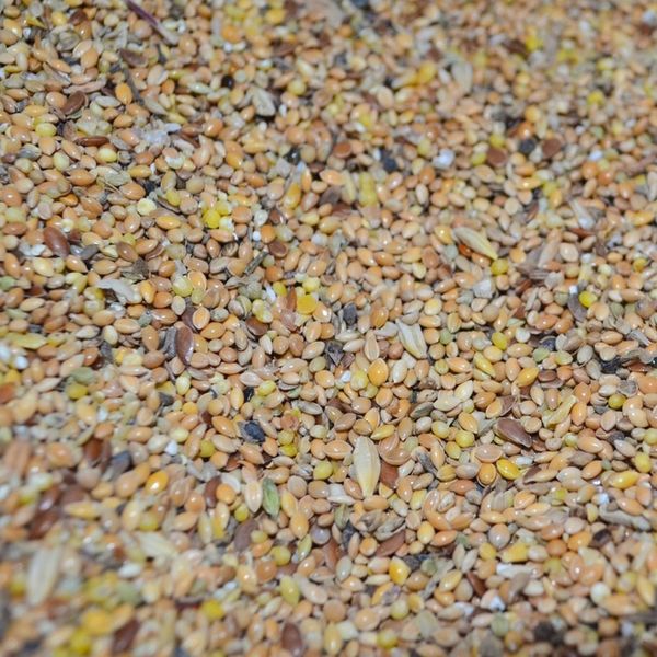 Karma dla dzikich ptaków gołębi drobne ziarno MIX ziaren 25kg zdjęcie 3